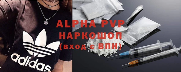 ПСИЛОЦИБИНОВЫЕ ГРИБЫ Горняк