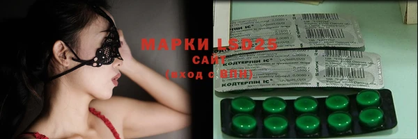 ПСИЛОЦИБИНОВЫЕ ГРИБЫ Горняк