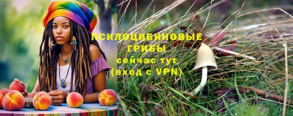 крисы Горнозаводск