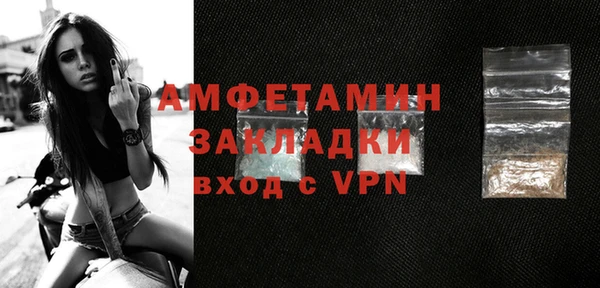 ПСИЛОЦИБИНОВЫЕ ГРИБЫ Горняк