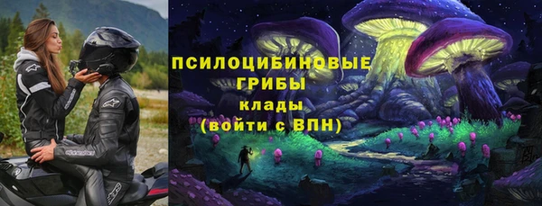 крисы Горнозаводск