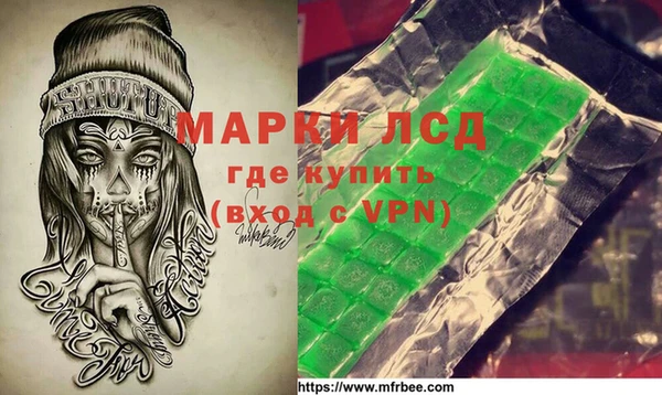 ПСИЛОЦИБИНОВЫЕ ГРИБЫ Горняк