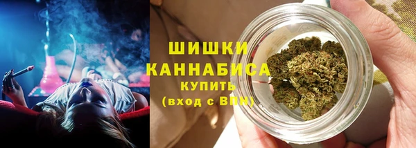 крисы Горнозаводск