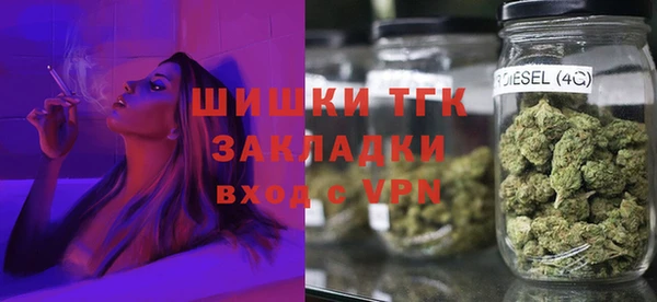 ПСИЛОЦИБИНОВЫЕ ГРИБЫ Горняк