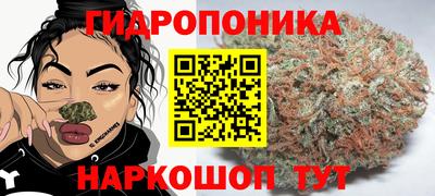 ешки Можга