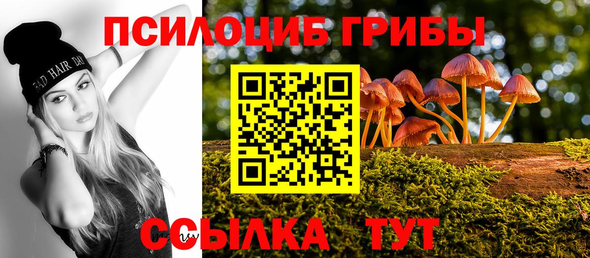 Скопин  Псилоцибиновые грибы Psilocybe  Вход с VPN 
