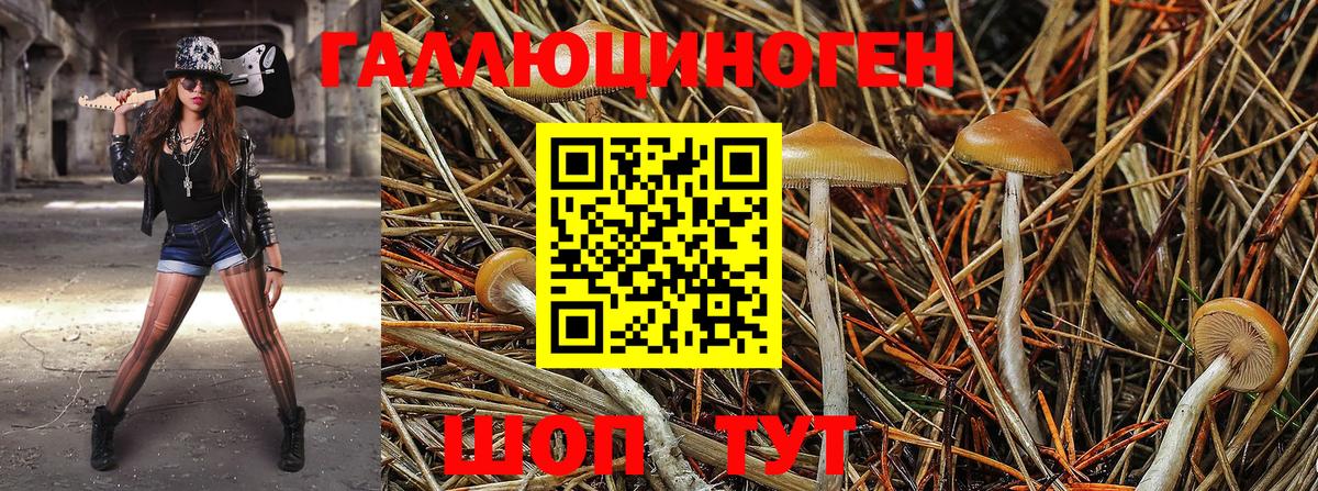 Галлюциногенные грибы GOLDEN TEACHER Скопин